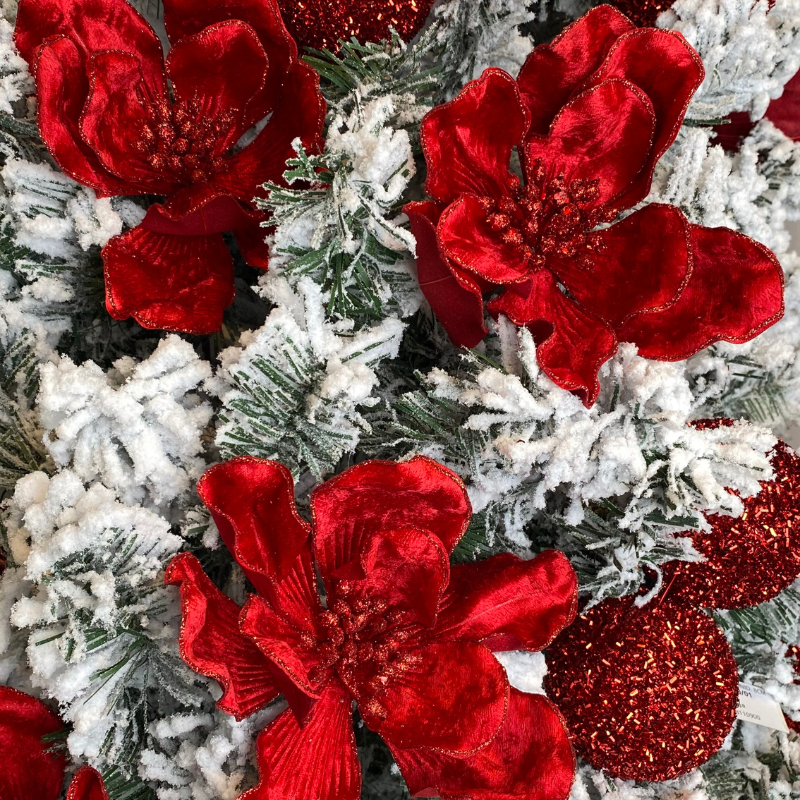 NAVIDAD