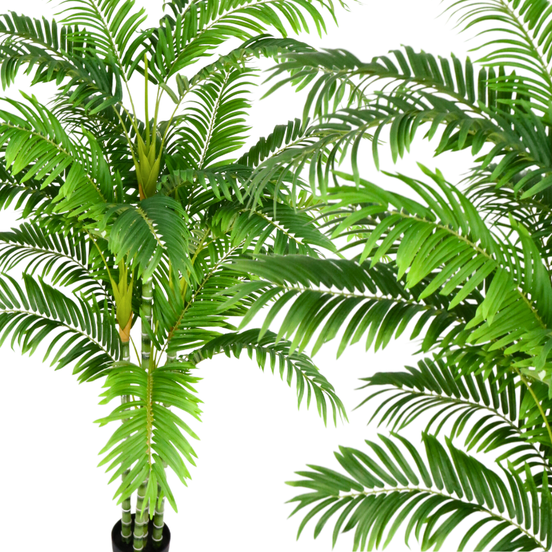 PLANTAS